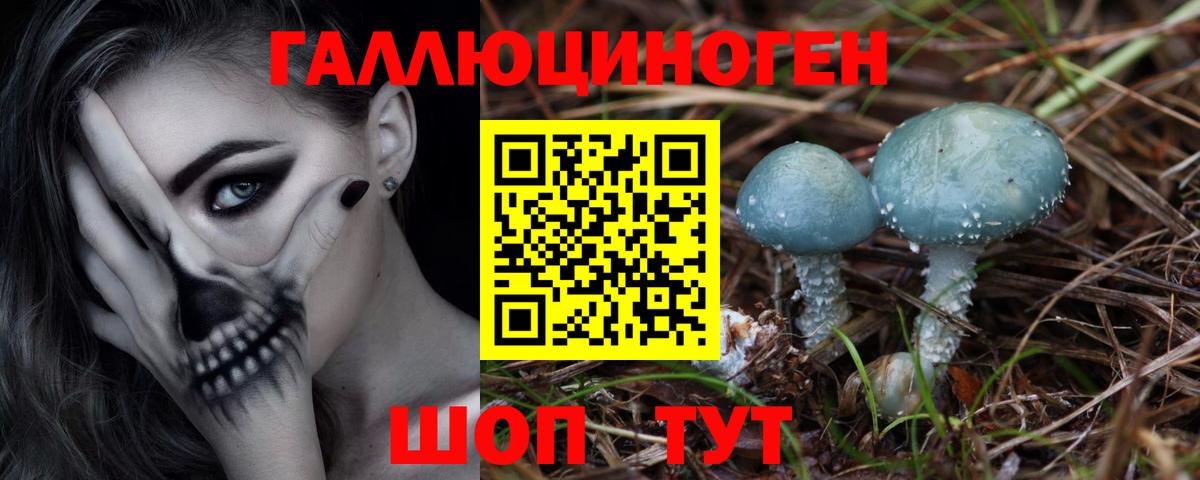Северск  Галлюциногенные грибы Psilocybe  Вход с VPN  Галлюциногенные грибы Cubensis 